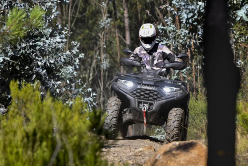 Квадроцикл Loncin XWOLF 550L М1 Зеленый 2026